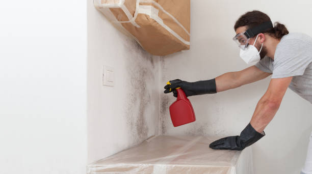 Professional Basement Mold Remediation technician working in Salisbury, PA