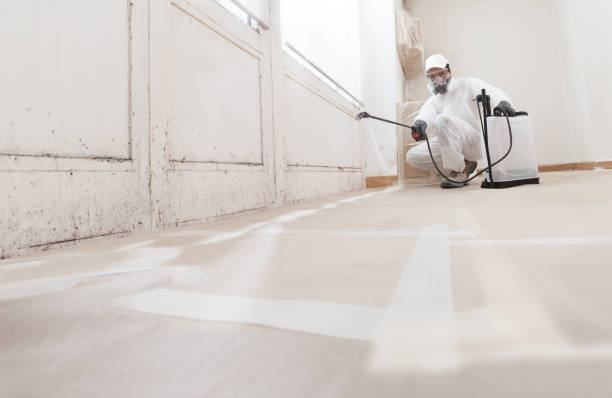 24/7 Emergency Basement Mold Remediation experts in Salisbury, PA